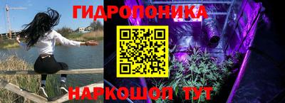 индика Бердск