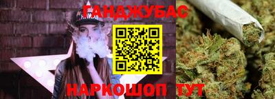 индика Бердск