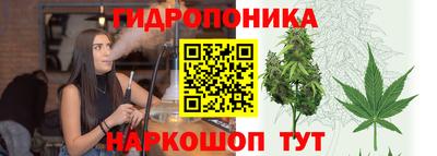 индика Бердск