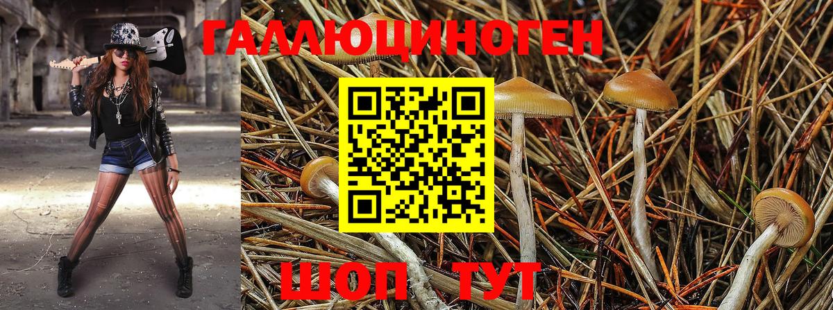 Галлюциногенные грибы прущие грибы Кашира